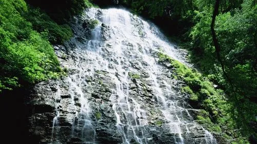 高端电子