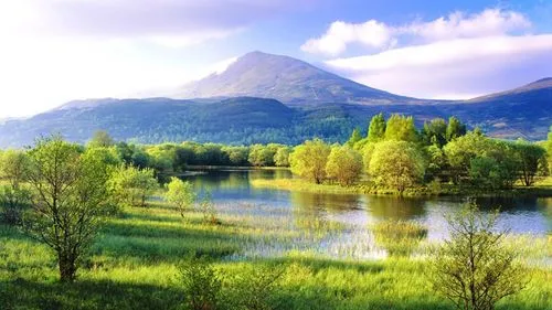 全自动节能